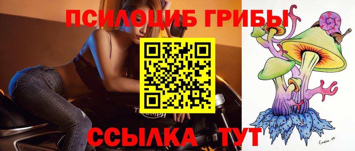 Краснотурьинск  Галлюциногенные грибы ЛСД  Вход с VPN 